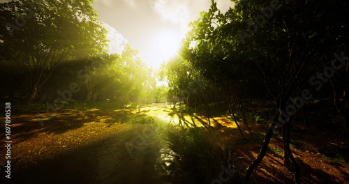 Canvas Print Sunlight filters through tree branches, illuminating a serene forest landscape