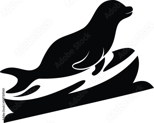  Silhouette of a seal sliding on ice, minimal curves..