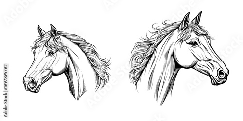Modern equestrian sport is symbolized by an isolated head of an Arabian rebellion horse, either a stallion or a mane profile