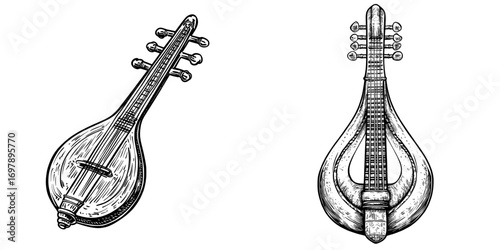 The Indian sitar is an isolated plucked stringed instrument and a modern retro musical tool used in Hindustani classical music