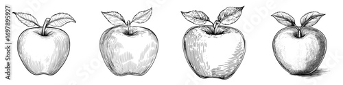 Modern vegetarian dieting food featuring an apple with leaf isolated, suitable for autumn or summer fruit sketch