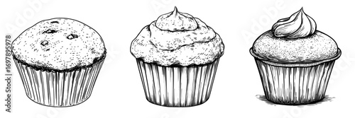 A solitary pastry, either a muffin or a cupcake, is depicted in a sketch of baked goods, featuring a contemporary muffin or cake bun from a bakery, topped with buttercream