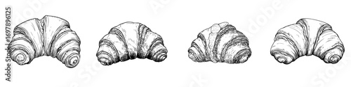 A modern sketch of mushrooms doodle is isolated on a white background