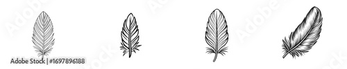 Web and app design featuring a hand-drawn feather icon illustration