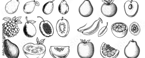 An illustration of a fruit icon set, hand drawn in style, has been designed for use in web and application development