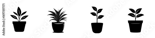 Minimalist black-and-white vector illustration showcasing a variety of potted plants with simple silhouettes