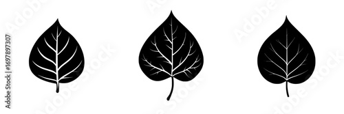 Silhouettes of minimalist black-and-white leaves depicting nature's simplicity and elegance