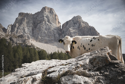 Mountain Hike in Dolomites Italy mountain perfect for climb 