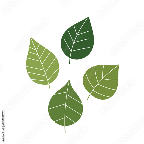 Four green leaves arranged in a circular pattern symbolizing nature and growth