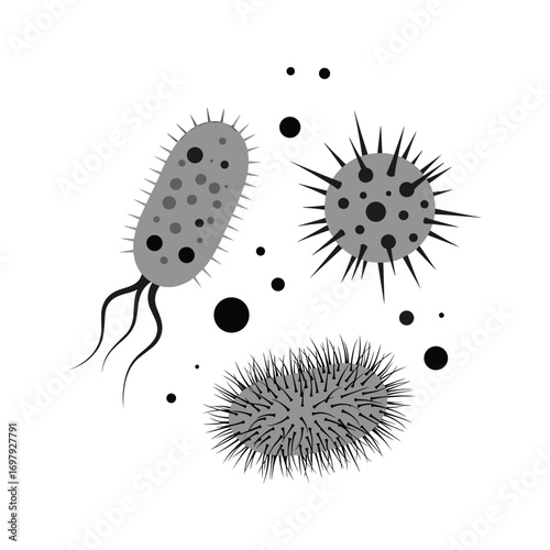 Microscopic organisms representing bacteria viruses and fungi in diverse shapes and forms