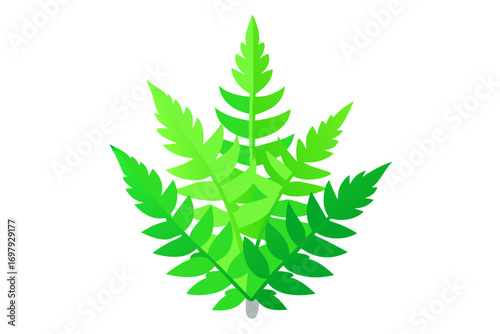 green leaf isolated on white