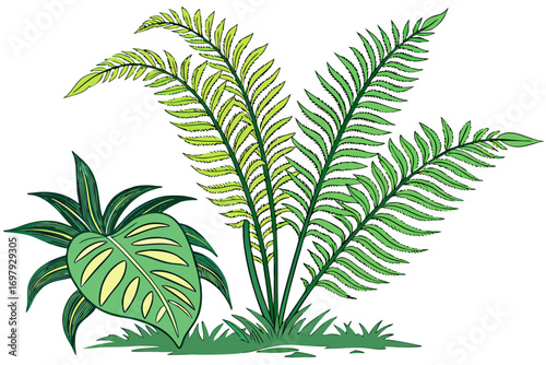 palm tree isolated