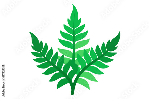 green leaves isolated on white background