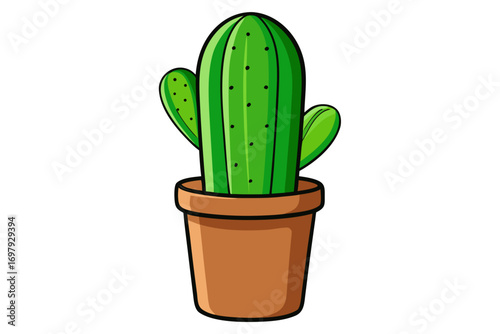 cactus isolated on white