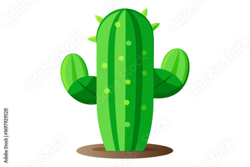 cactus in a pot