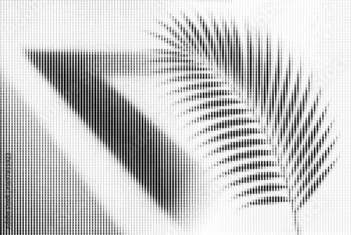Halftone minimalist palm leaf shadow with geometric triangle abstract vector background