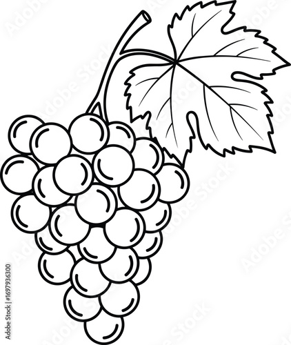 Minimal Grapes Line Art Icon