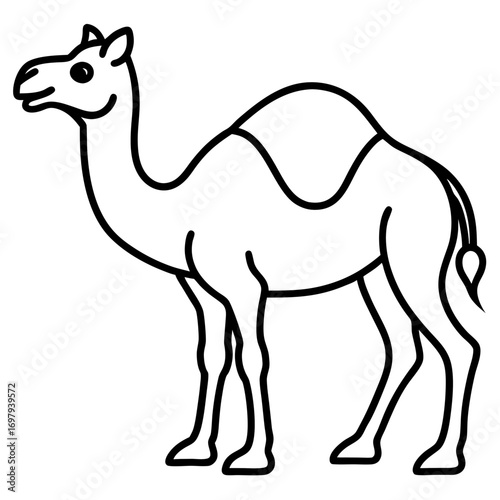 Desert Camel Line Art Vector