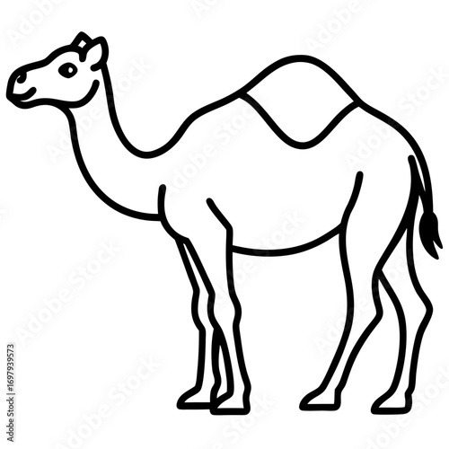 Desert Camel Line Art Vector