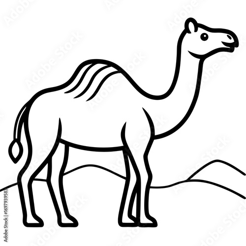 Desert Camel Line Art Vector