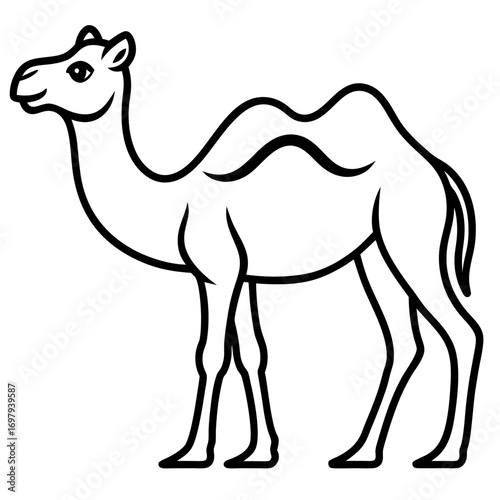 Desert Camel Line Art Vector