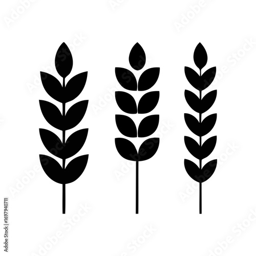 stylized black wheat stalks on white background