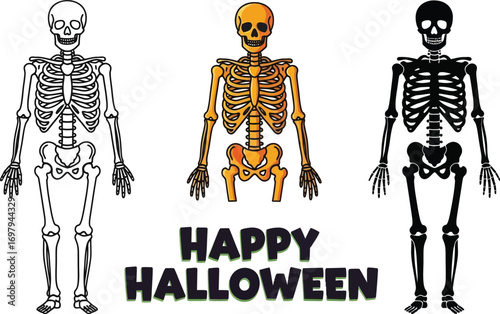 Three skeletons, each rendered in a different style, accompanied by the festive greeting happy halloween