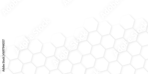 hexagon concept design abstract technology background,beautiful geometric pattern white gray hexagonal,geometric mesh cell texture. modern futuristic wallpaper.