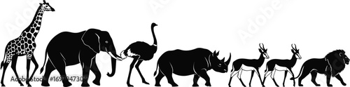 Flat vector illustration of African safari animals in a row, including giraffe, elephant, ostrich, rhinoceros, antelope, and lion, wildlife, nature, exotic fauna, silhouette design.