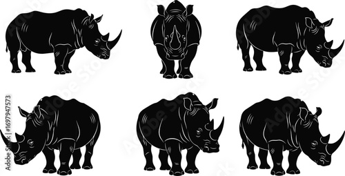 Flat vector illustration of rhinoceros front and side views, detailed rhino animal silhouettes, wild African safari wildlife collection, endangered species vector s,