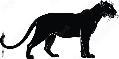 Flat vector illustration of black panther in side view, wild big cat silhouette, jungle animal design, wildlife predator vector graphic