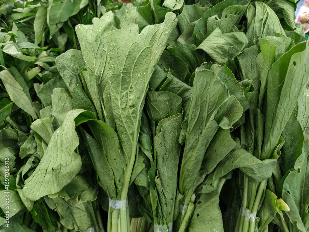Obraz premium A detailed close-up of a large pile of fresh green mustard greens. The vibrant, leafy vegetables are bundled together, creating a healthy and natural texture that appears ready for market or cooking.