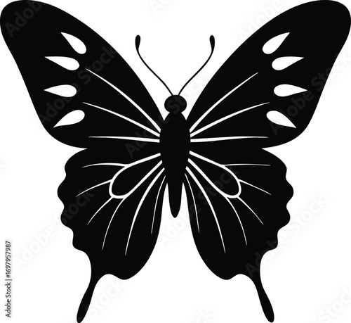 Silhouette of a Butterfly with Wing Spots and Antennae