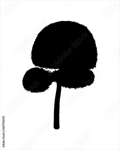Silhouette of Round shaped tree isolated on white background
