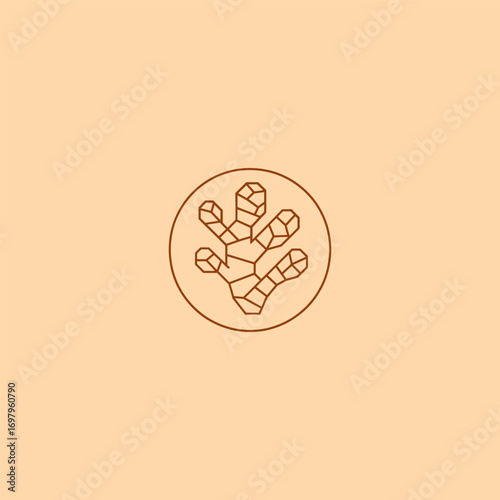 Ginger root line art minimalist abstract logo design.
