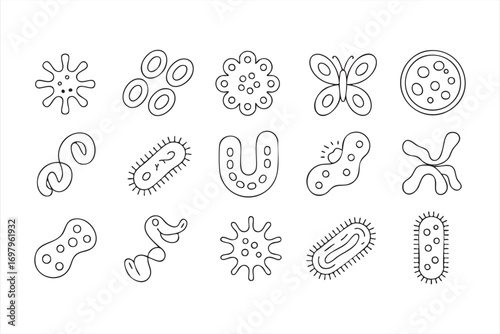 Contour microorganisms and cells isolated on white background