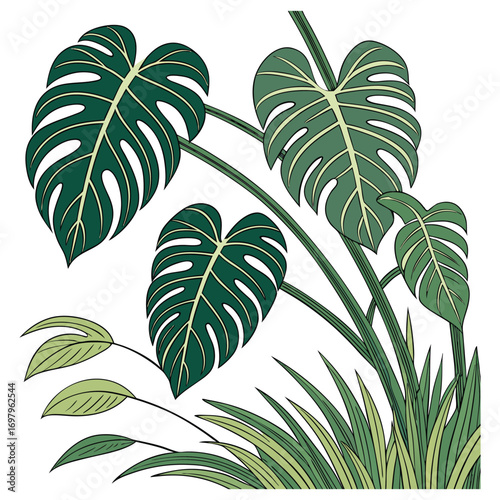 tropical monstera deliciosa leaves, lush green foliage, minimalist botanical illustration, flat vector art, elegant line art, botanical line drawing, nature themed, botanical pattern
