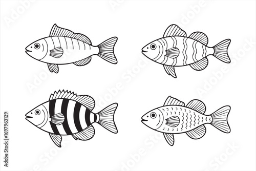 Vector collection of fish illustrations with outline and patterned designs