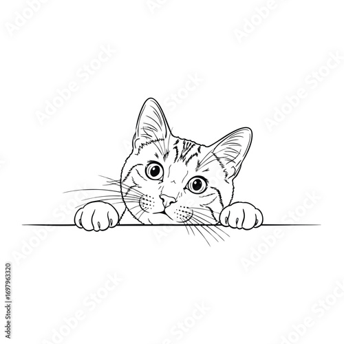 Adorable black and white sketch of a curious tabby cat peeking over a horizontal line.