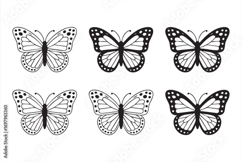 Vector collection of butterfly outlines and black silhouettes illustration