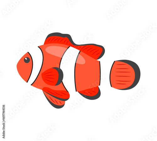 Clownfish vector illustration