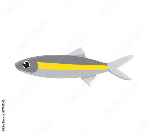 Rasbora vector illustration