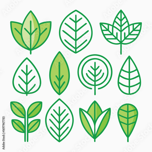 A collection of twelve stylized green leaf icons with various shapes and vein patterns, representing nature and organic elements.