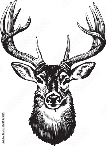 Black deer head illustrations