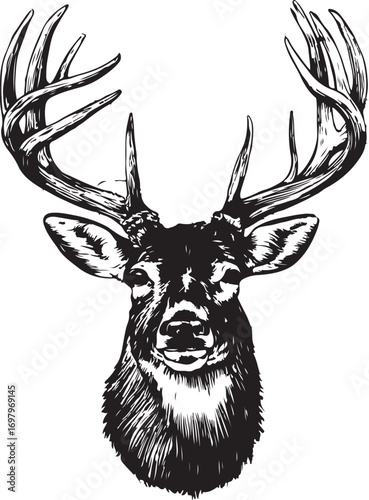 Black deer head illustrations