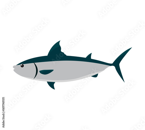 Tuna vector illustration