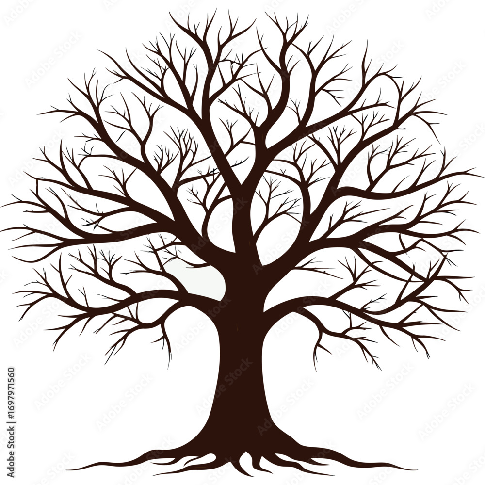 Obraz premium a-stark--bare-deciduous-tree-stands-in-silhouette- vector design .eps