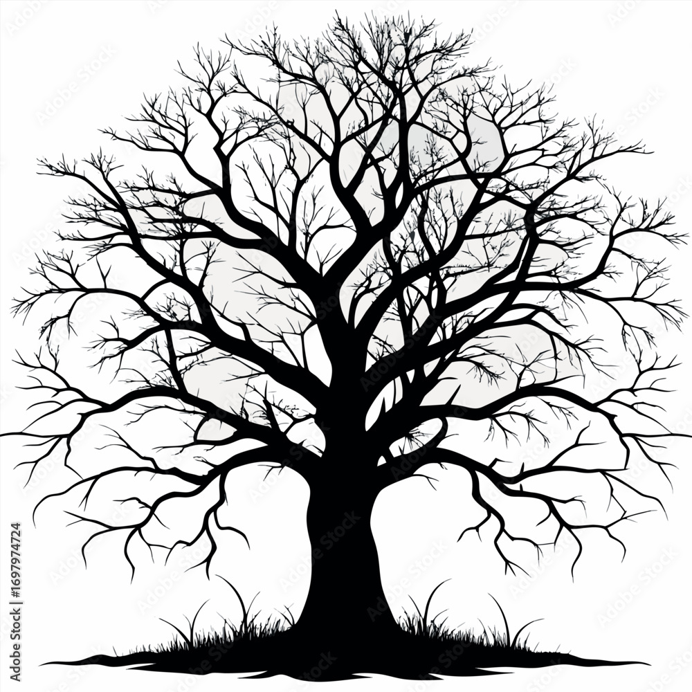 Fototapeta premium a-stark--minimalist-black-and-white-photograph-of-silhouette vector design .eps