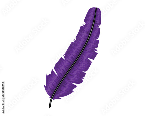 vector design of a dark purple bird feather which was usually used in ancient times to write on paper by dipping it in ink