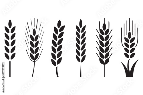 Organic agriculture wheat ear silhouettes for food and bakery projects